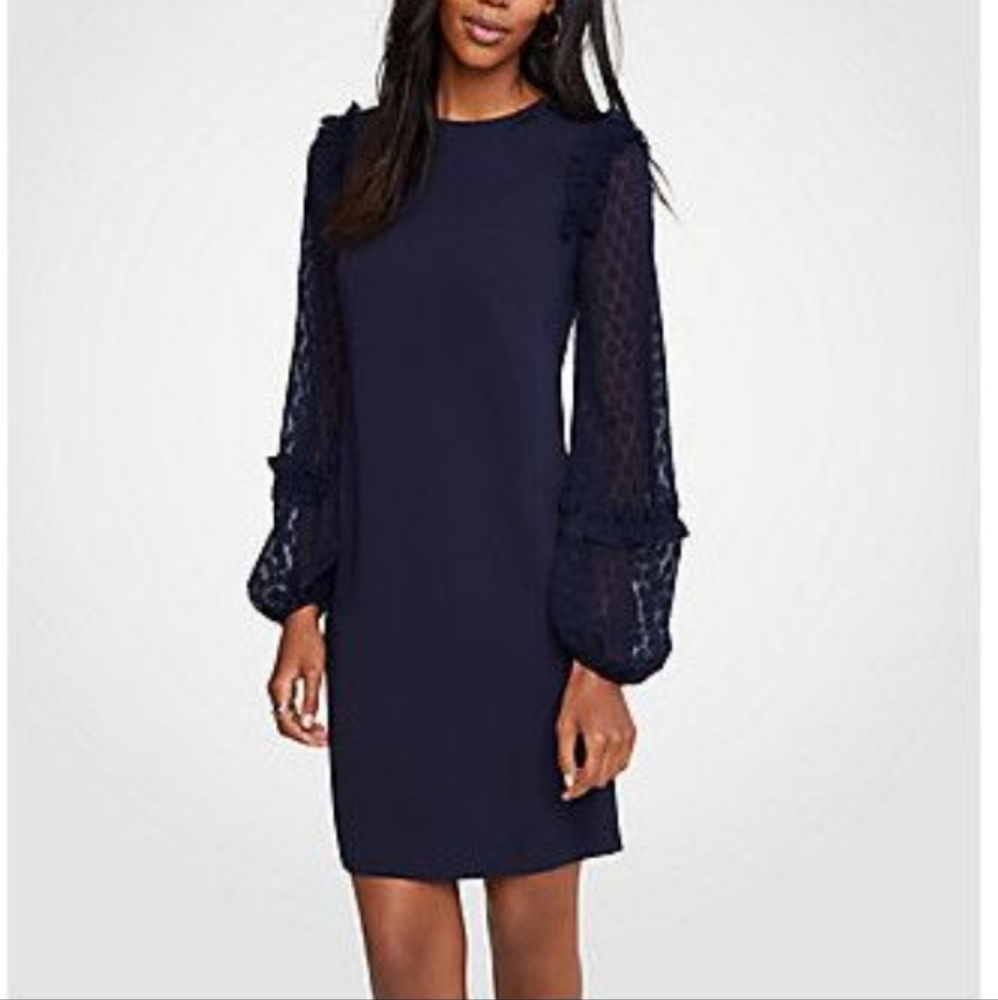 Ann Taylor Navy Blue Shift Dress Sheer Polka Dot Puff Sleeves Size 8